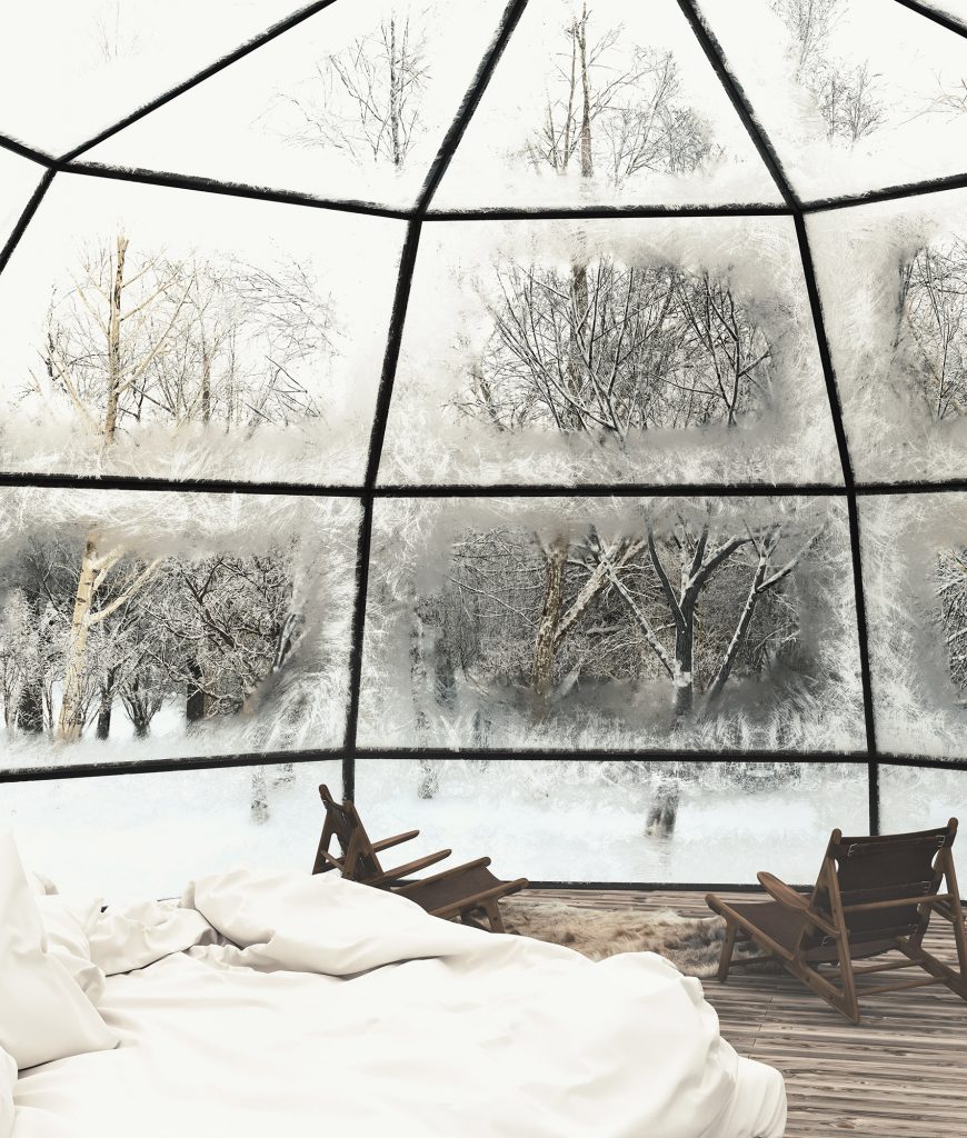 visualization of the interior of a transparent room in the shape of an igloo