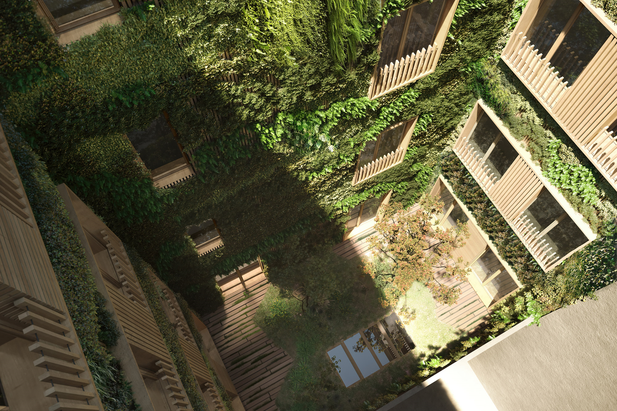 Rehabilitation of A Residential Building central courtyard in wood, hanging plants and pond in agnes agnes building, high-end visualization in paris